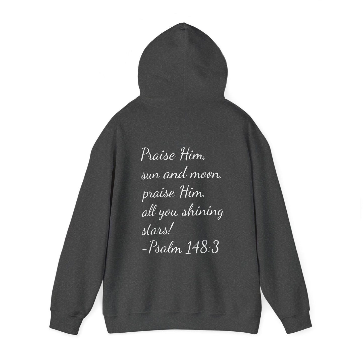 In His Glory Unisex Hoodie